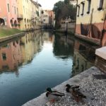 – La-destination-Venise-romantisme-et-le-pittoresque-au-goût-du jour-via-les vols-directs-de-Tunisair-02-660