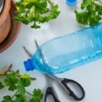 – bouteilles en plastique contre des plantes-01