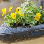 – bouteilles en plastique contre des plantes-03