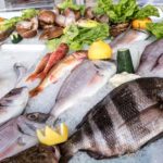 la-tunisie-collabore-avec-lalbanie-et-la-turquie-en-vue-de-mettre-en-place-un-cadre-juridique-harmonise-sur-la-peche-en-mediterranee