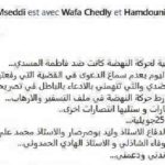 Fatma Mseddi gagne son procès face à Ennahdha