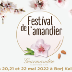 le-festival-de-lamandier-debute-ce-vendredi-a-sfax