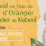 À la découverte de la senteur mythique de la fleur d’oranger de Nabeul02