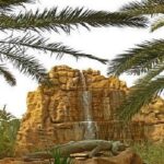 transavia-fete-un-an-de-succes-sur-la-ligne-paris-tozeur-et-met-en-valeur-lattrait-des-oasis-et-des-dunes-du-sud-tunisien-02