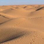 transavia-fete-un-an-de-succes-sur-la-ligne-paris-tozeur-et-met-en-valeur-lattrait-des-oasis-et-des-dunes-du-sud-tunisien-696×391