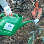 STAFIM – Avec 10.000 arbres plantés – Peugeot Landtrek cible un meilleur environnement .jpg-05
