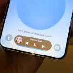 70469054