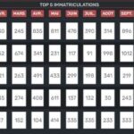 Hyundai, Kia & Peugeot sur le podium du Top 5 des ventes de voitures particulières en Tunisie en 2024