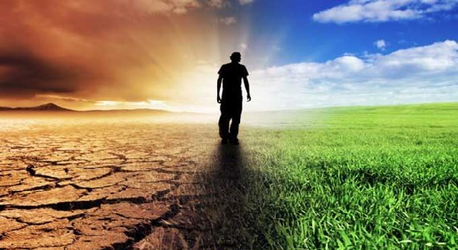 lafd-lance-un-outil-de-modelisation-sur-limpact-des-changements-climatiques-en-tunisie
