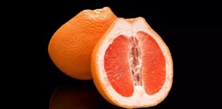 Plaisir féminin : Point G et orgasme vaginal… Qu’en est-il vraiment ? La vérité (enfin !)