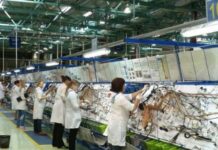 OTO-News : Fatma Kolsi (TAA) annonce que 37 % de nos exportations de l’industrie automobile sont destinées à l’Allemagne