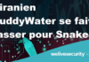 MuddyWater, aligné avec les intérêts de l’Iran, cible des infrastructures critiques en Israel et en Egypte.