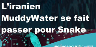 MuddyWater, aligné avec les intérêts de l’Iran, cible des infrastructures critiques en Israel et en Egypte.