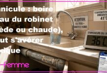 Alerte : Evitez de Boire l’Eau du Robinet en période de Canicule… Du Plomb est dissous dans l’Eau Chaude – (Détails & Recommandations) !