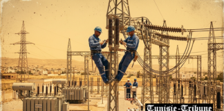 Pourquoi la STEG coupe-t-elle l’électricité en cette Canicule ? Comprendre le « délestage » pour éviter le black-out