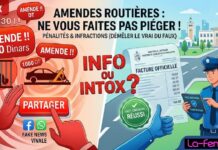 Pénalités & Infractions au Code de la route (Info ou Intox ?)… Ne vous faites pas piéger par ces Fake News