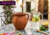 Conseils & Protocole de Purification de l’eau du robinet à domicile en période de Canicule