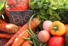 Produits agricoles biologiques: Des recettes d’exportations estimées à 669,2 MDT, à fin août 2026