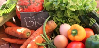 Produits agricoles biologiques: Des recettes d’exportations estimées à 669,2 MDT, à fin août 2026