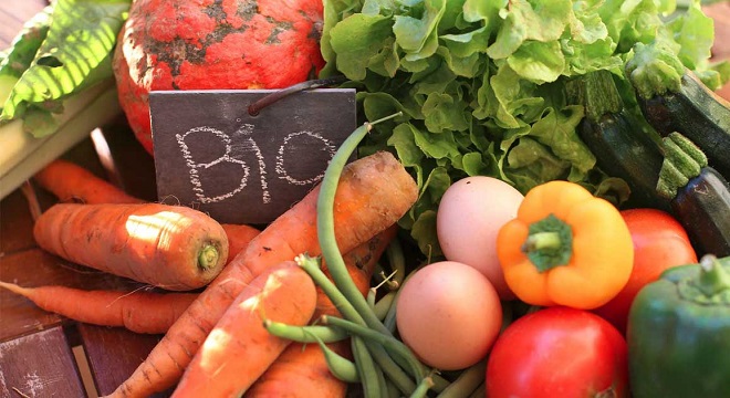 tunisie Produits agricoles biologiques