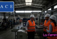 Enquête de l’IACE sur les coupures d’électricité – Été 2026